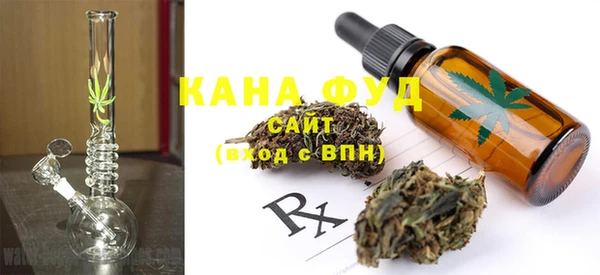 индика Краснослободск