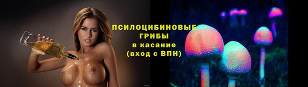 дурь Корсаков