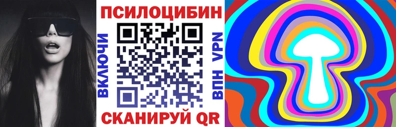 Галлюциногенные грибы Psilocybine cubensis  Купить  Дальнереченск 